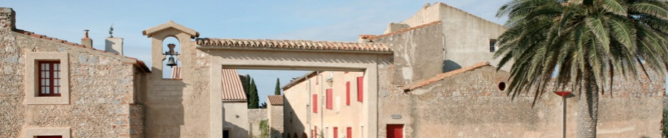 huile-olive-papillon-oliveraie